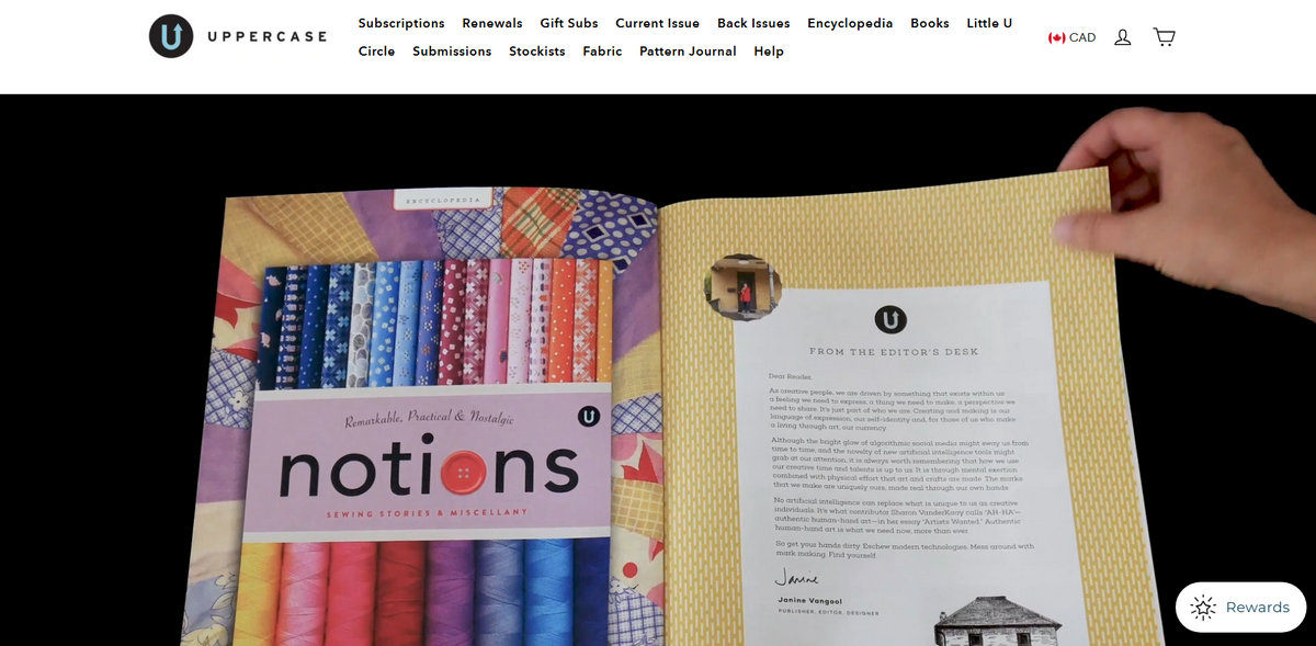 popular shopify stores